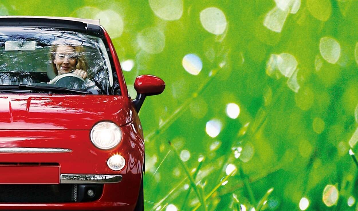 H1 Philips H1 12V 55W P14,5s LongLife EcoVision Leuchtmittel / Birne 55 Watt – Bild 4